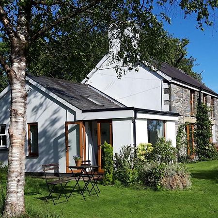 Nant Yr Onnen B&B And Holiday Cottage Tregaron ภายนอก รูปภาพ