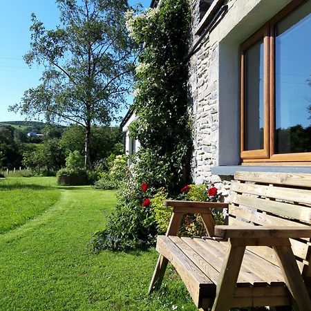 Nant Yr Onnen B&B And Holiday Cottage Tregaron ภายนอก รูปภาพ
