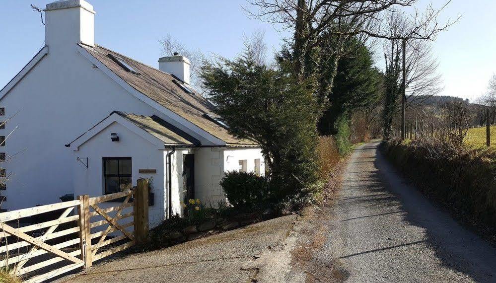 Nant Yr Onnen B&B And Holiday Cottage Tregaron ภายนอก รูปภาพ