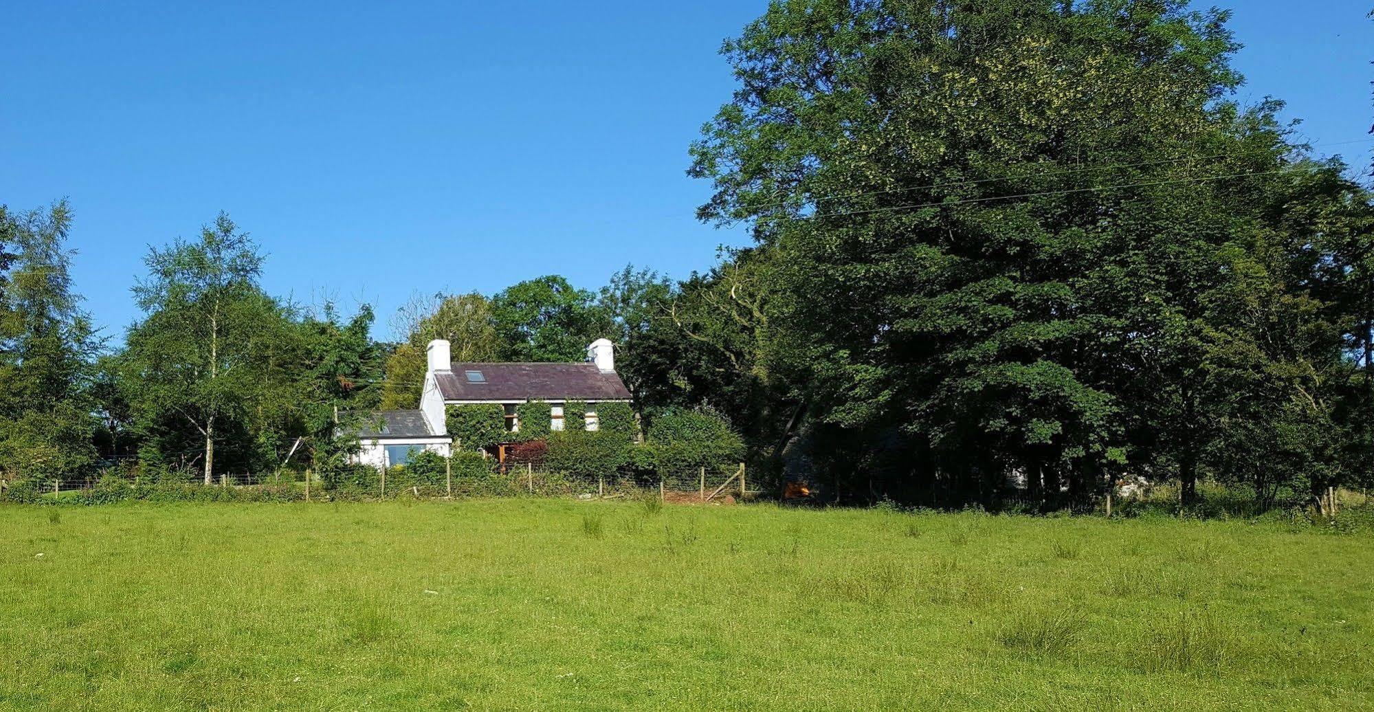 Nant Yr Onnen B&B And Holiday Cottage Tregaron ภายนอก รูปภาพ