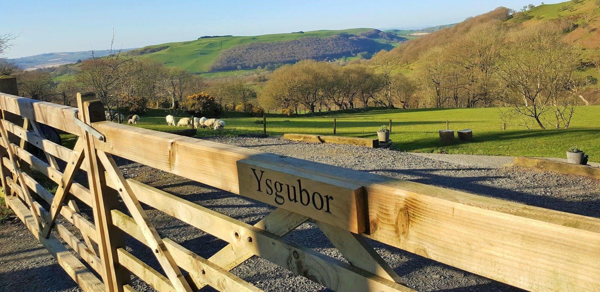 Nant Yr Onnen B&B And Holiday Cottage Tregaron ภายนอก รูปภาพ