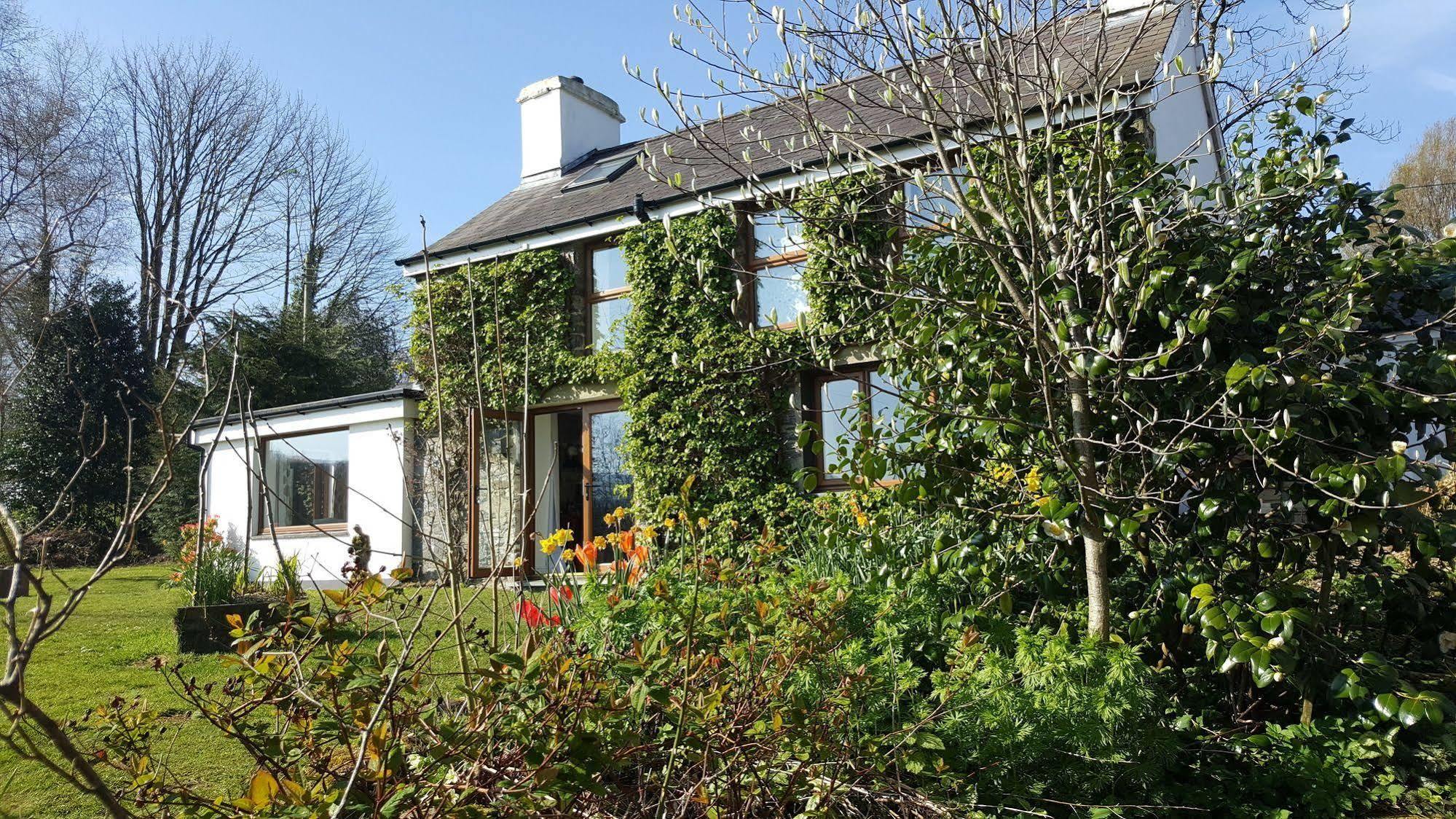 Nant Yr Onnen B&B And Holiday Cottage Tregaron ภายนอก รูปภาพ